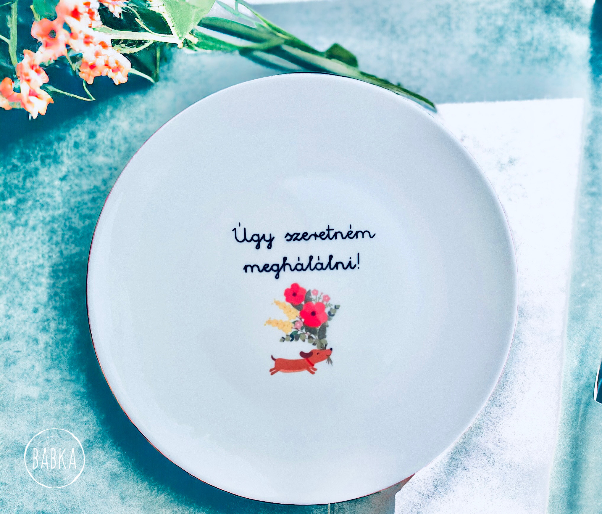 hála tányér kutya